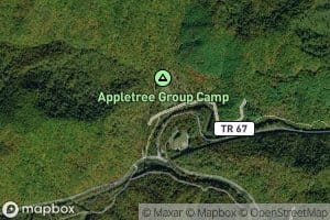Appletree Branch