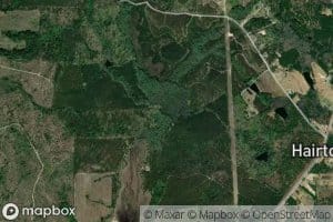 South Prong McLeod Creek