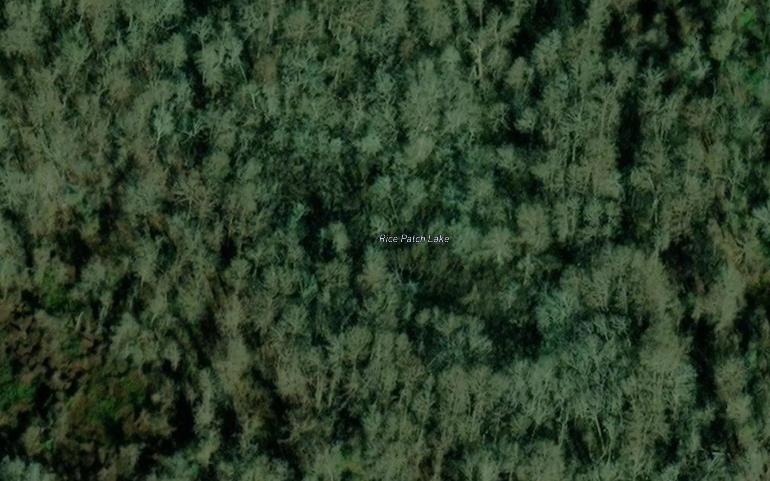 Rice Patch Lake