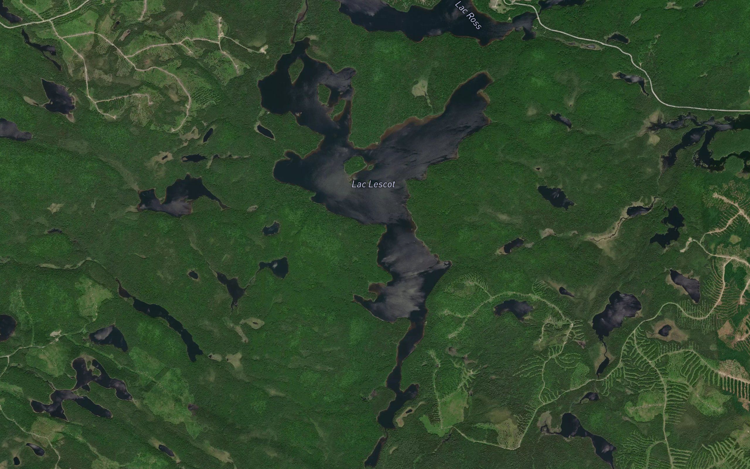 Lac Lescot