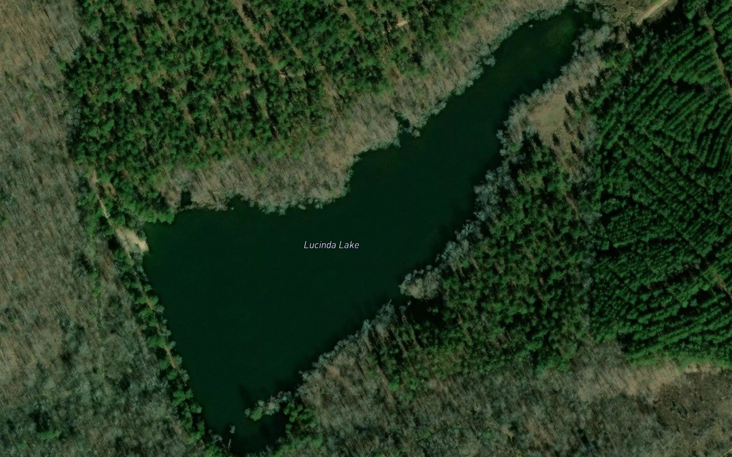 Lucinda Lake