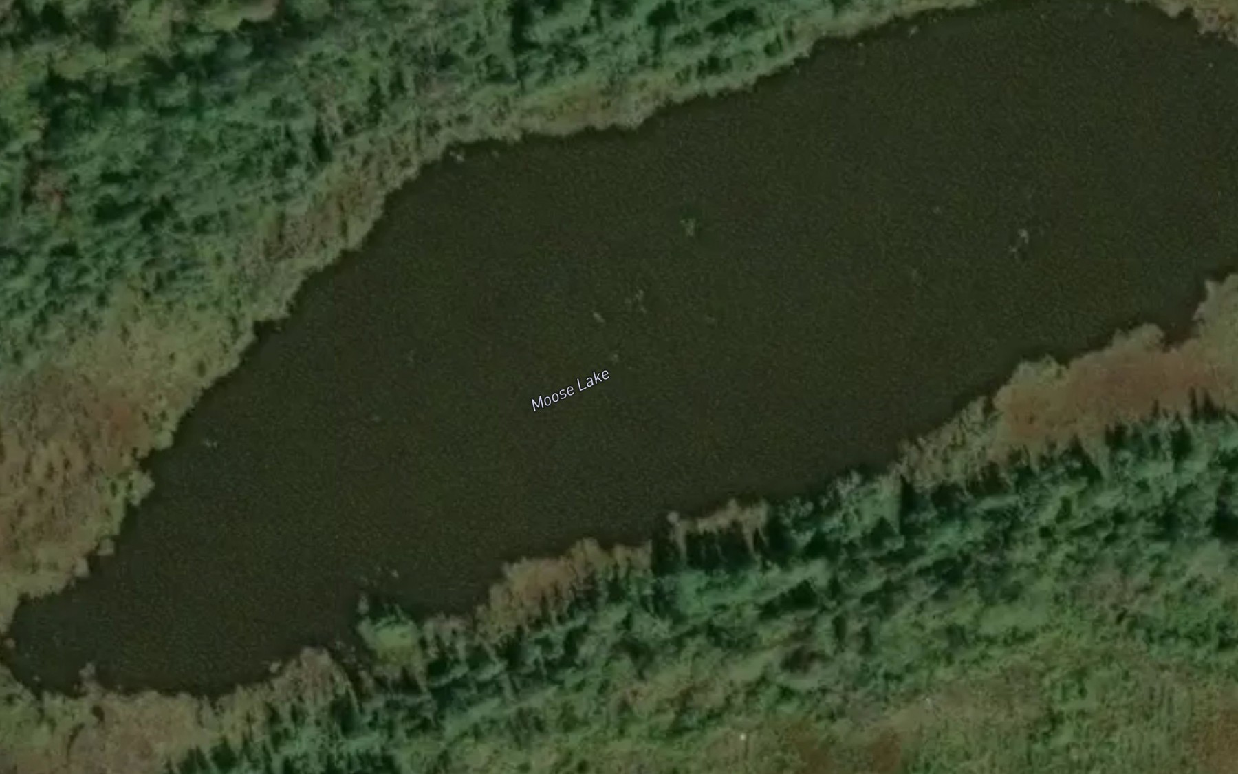 Satellite map of the Moose Lake
