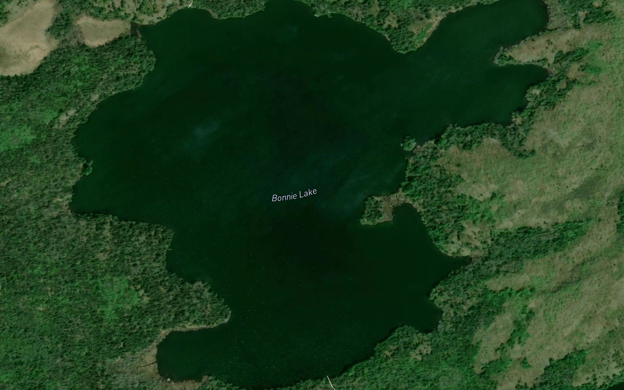 Bonnie Lake