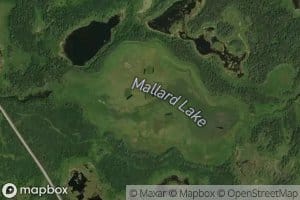 Mallard Lake