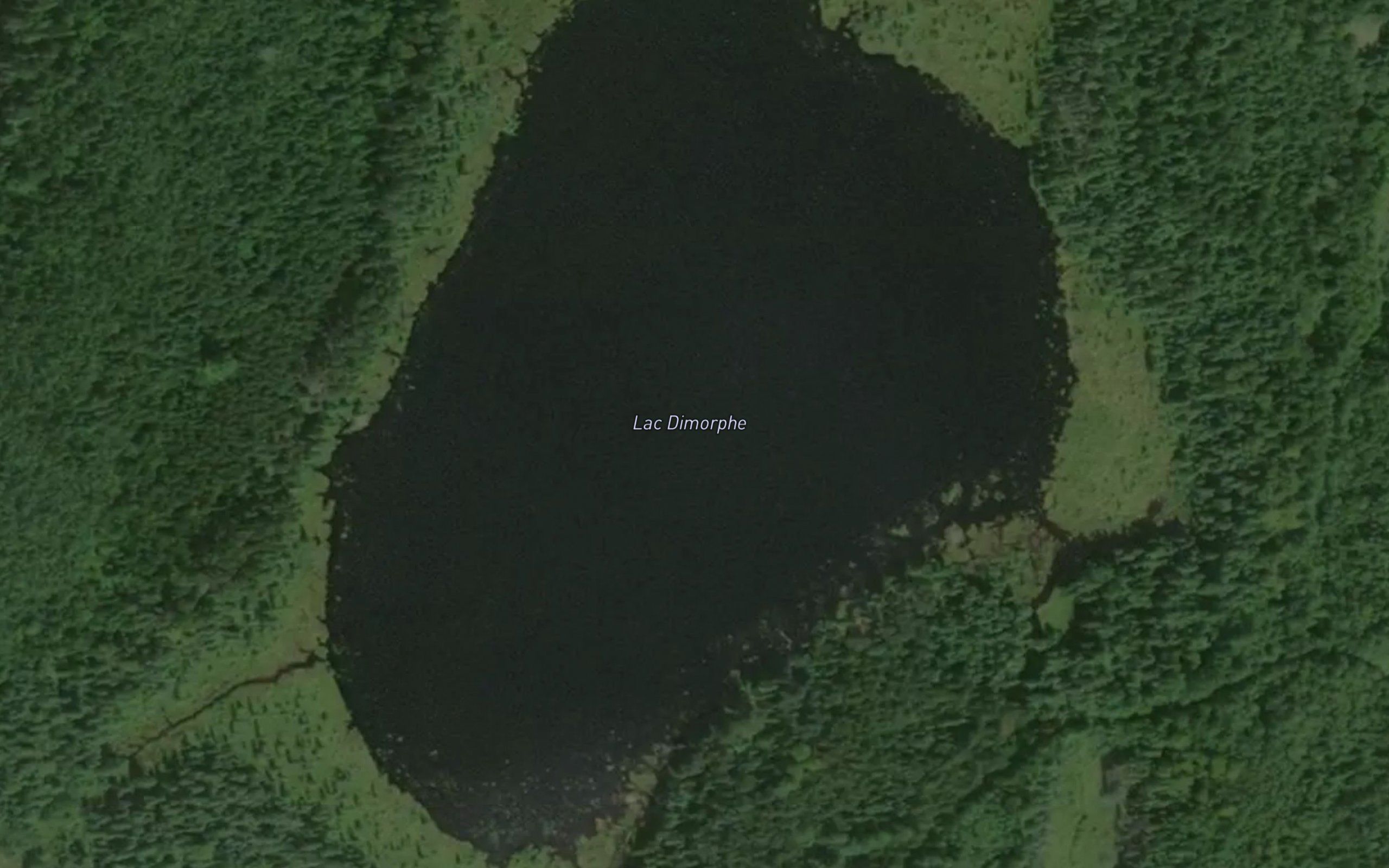 Lac Dimorphe