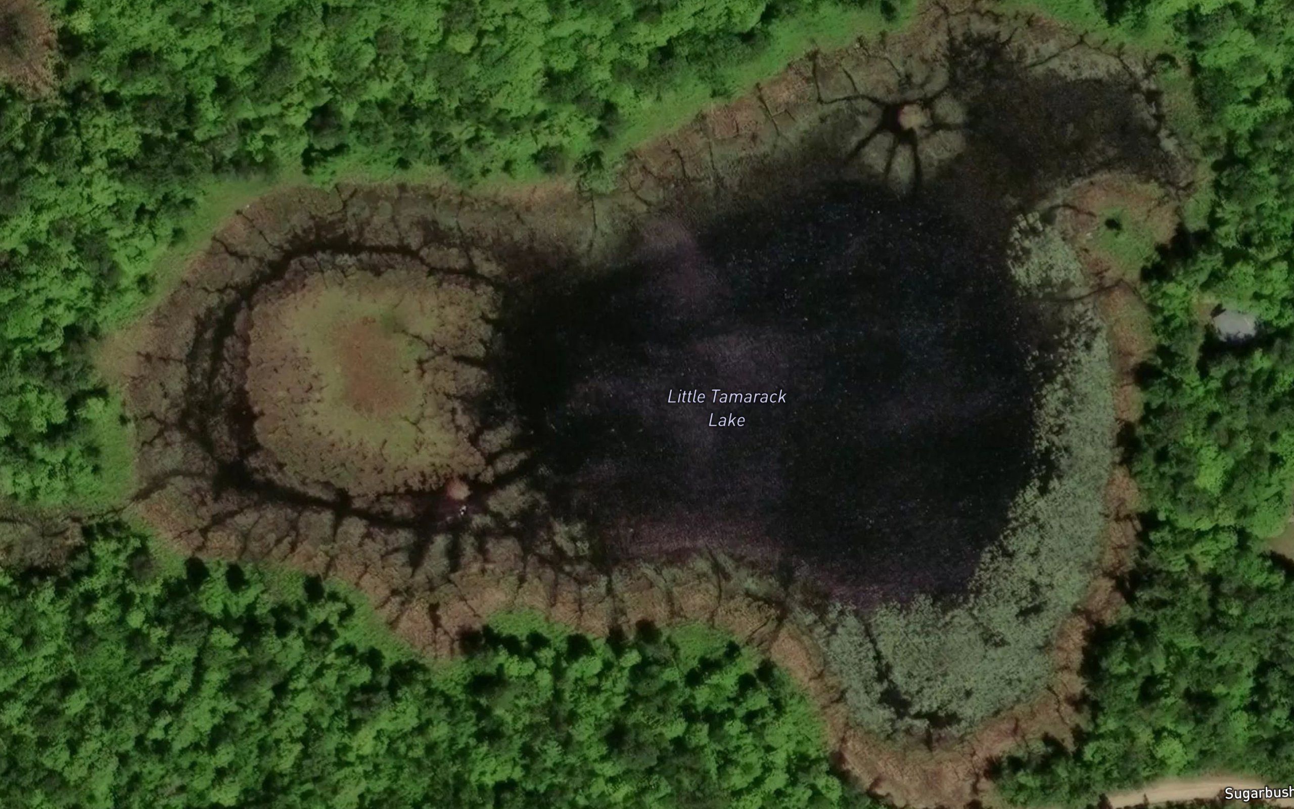 Little Tamarack Lake