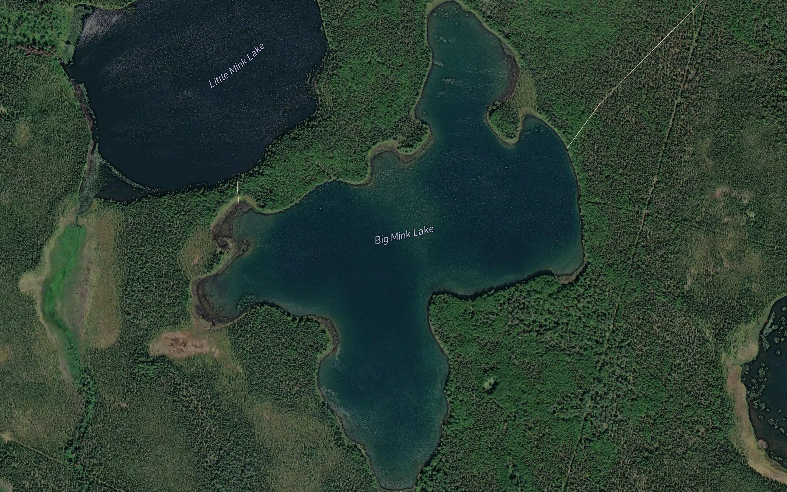 Big Mink Lake