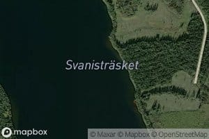 Svanistraesket