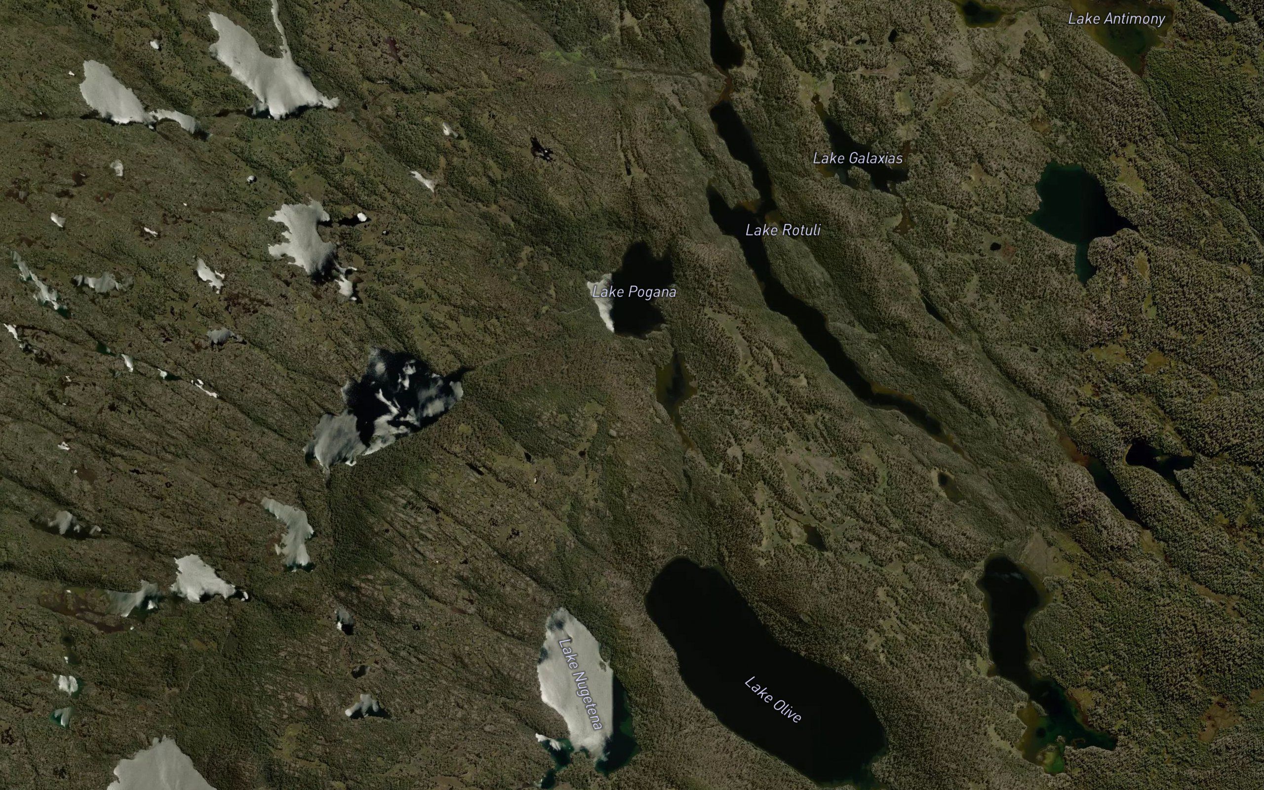 Pats Tarn