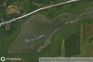 Rice Lake