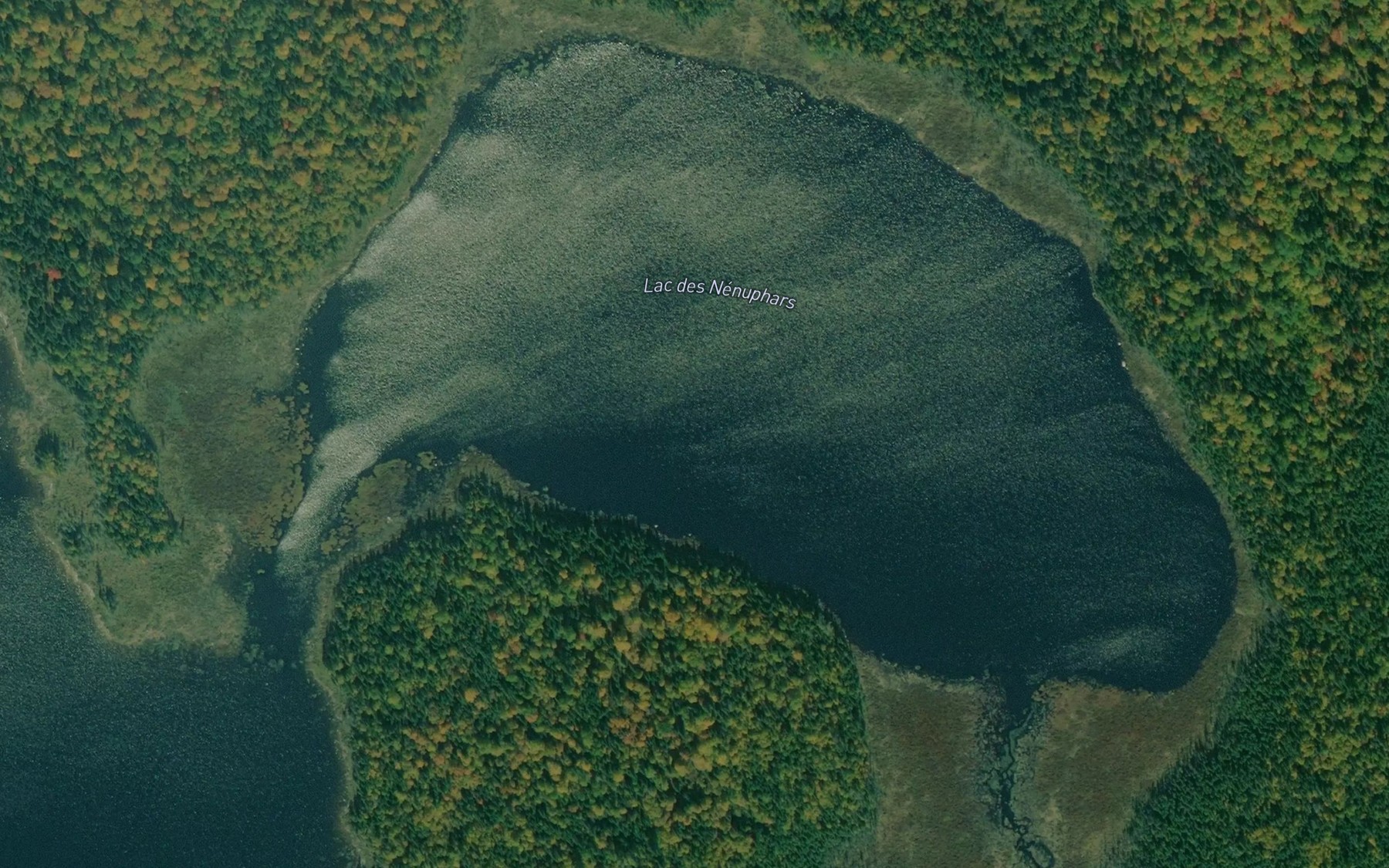 Satellite map of the Lac des Nenuphars