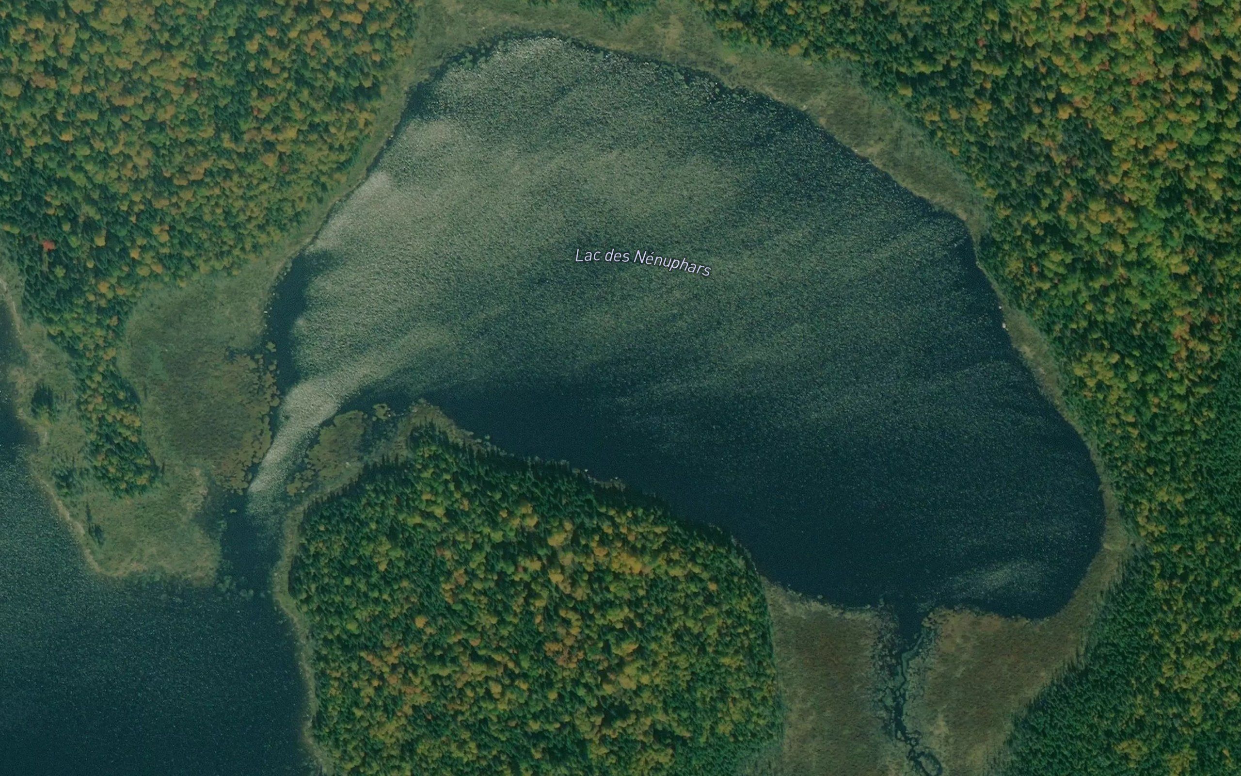 Lac des Nenuphars