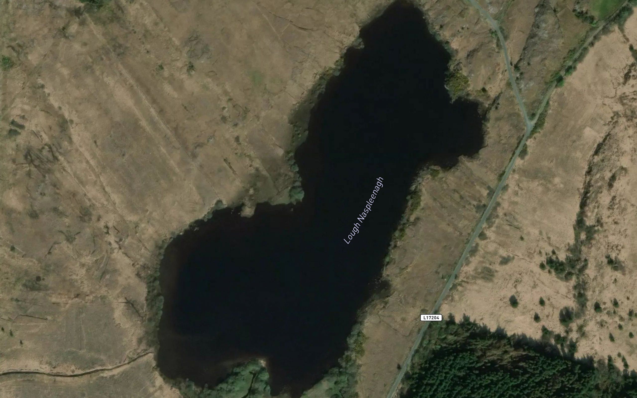 Lough Naspleenagh