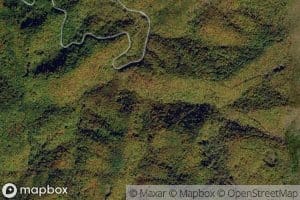 Rocky Bald Branch