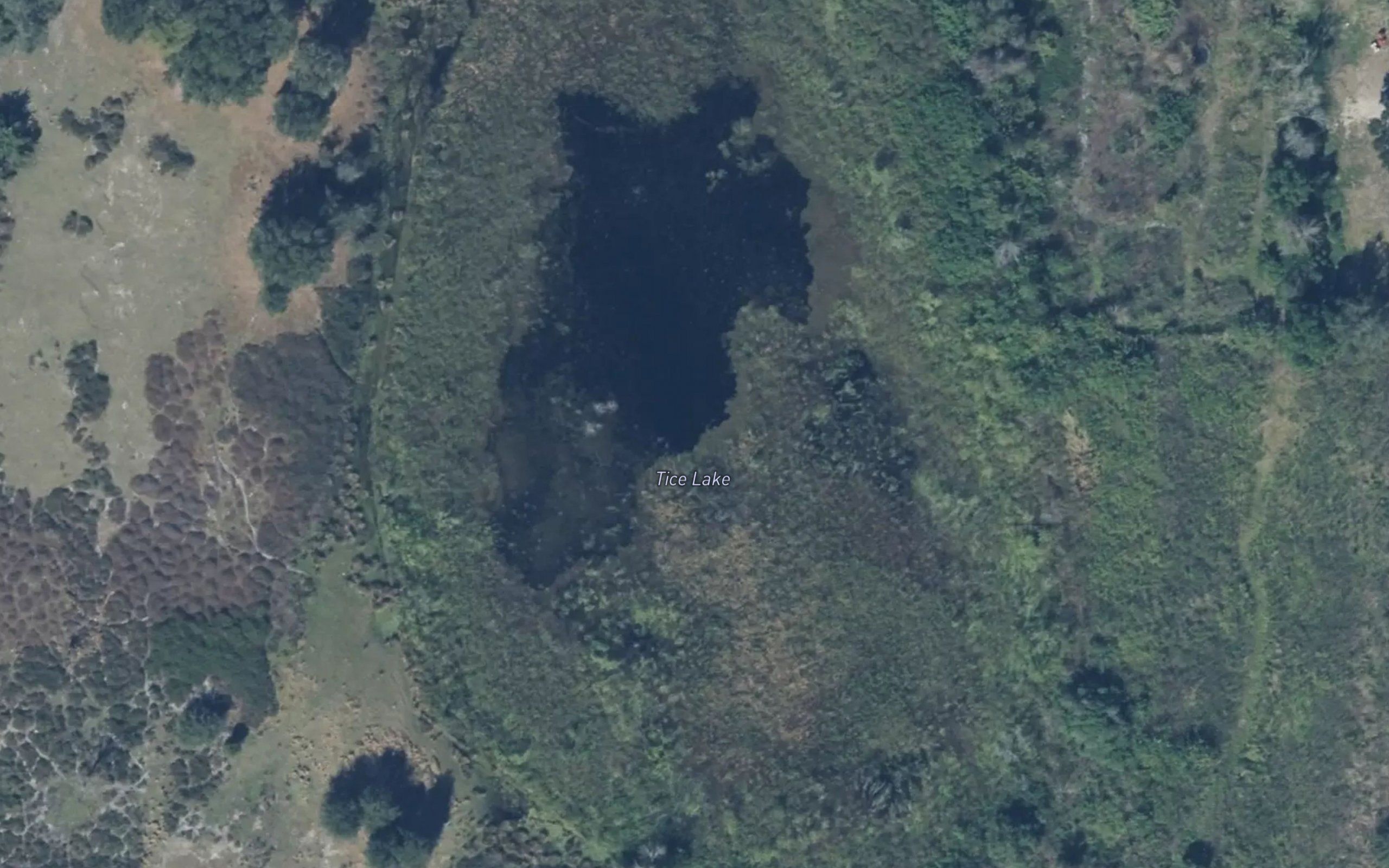 Tice Lake