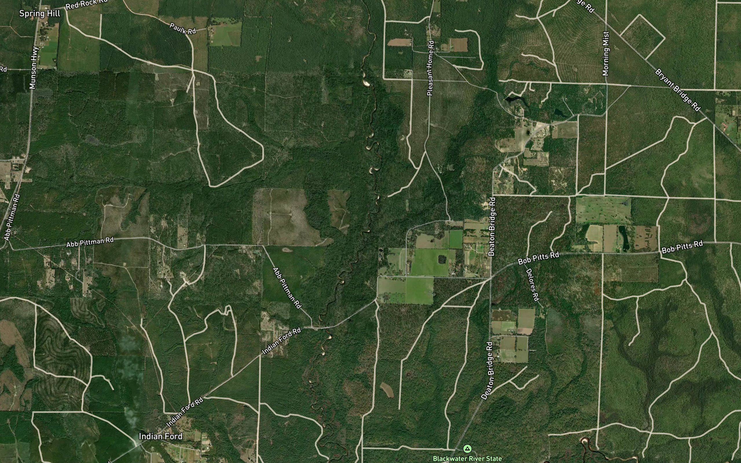 Alligator Creek