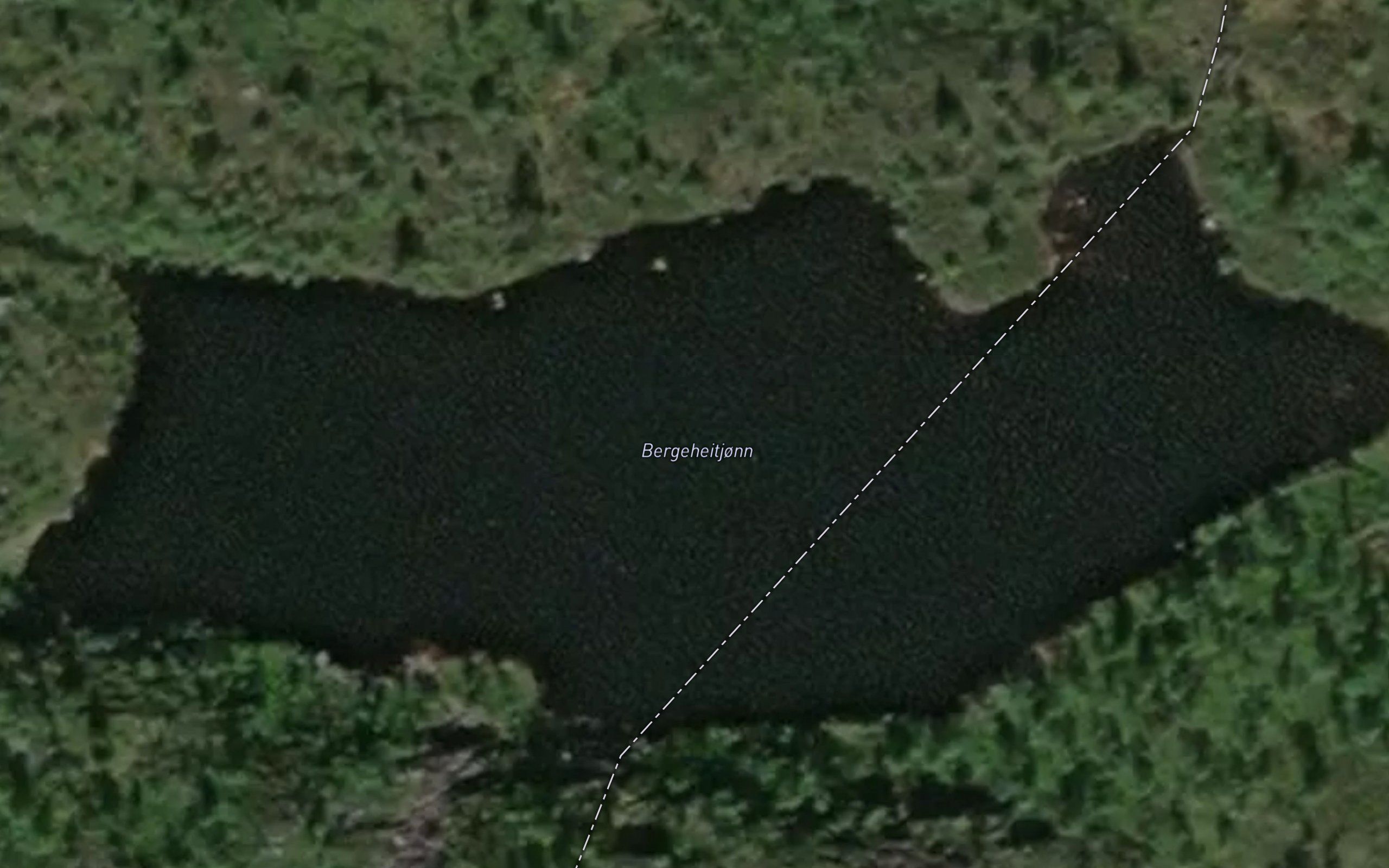 Bergetjorn