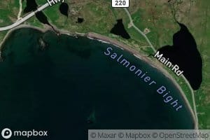 Salmonier Bight