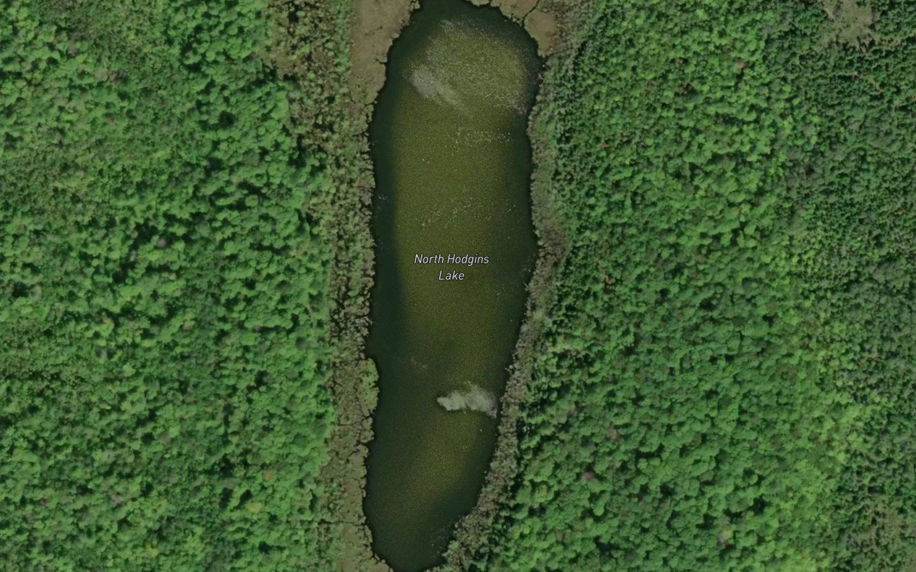 Satellite map of the North Hodgins Lake