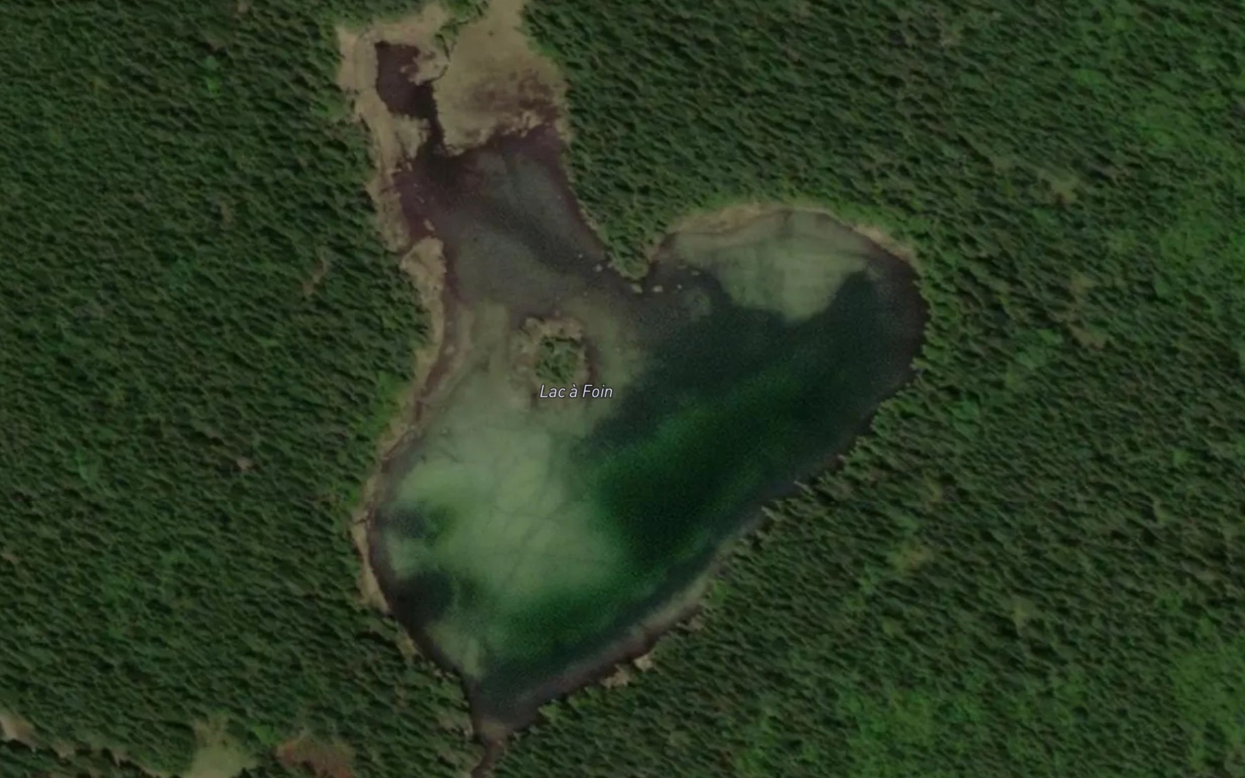 Satellite map of the Lac a Foin