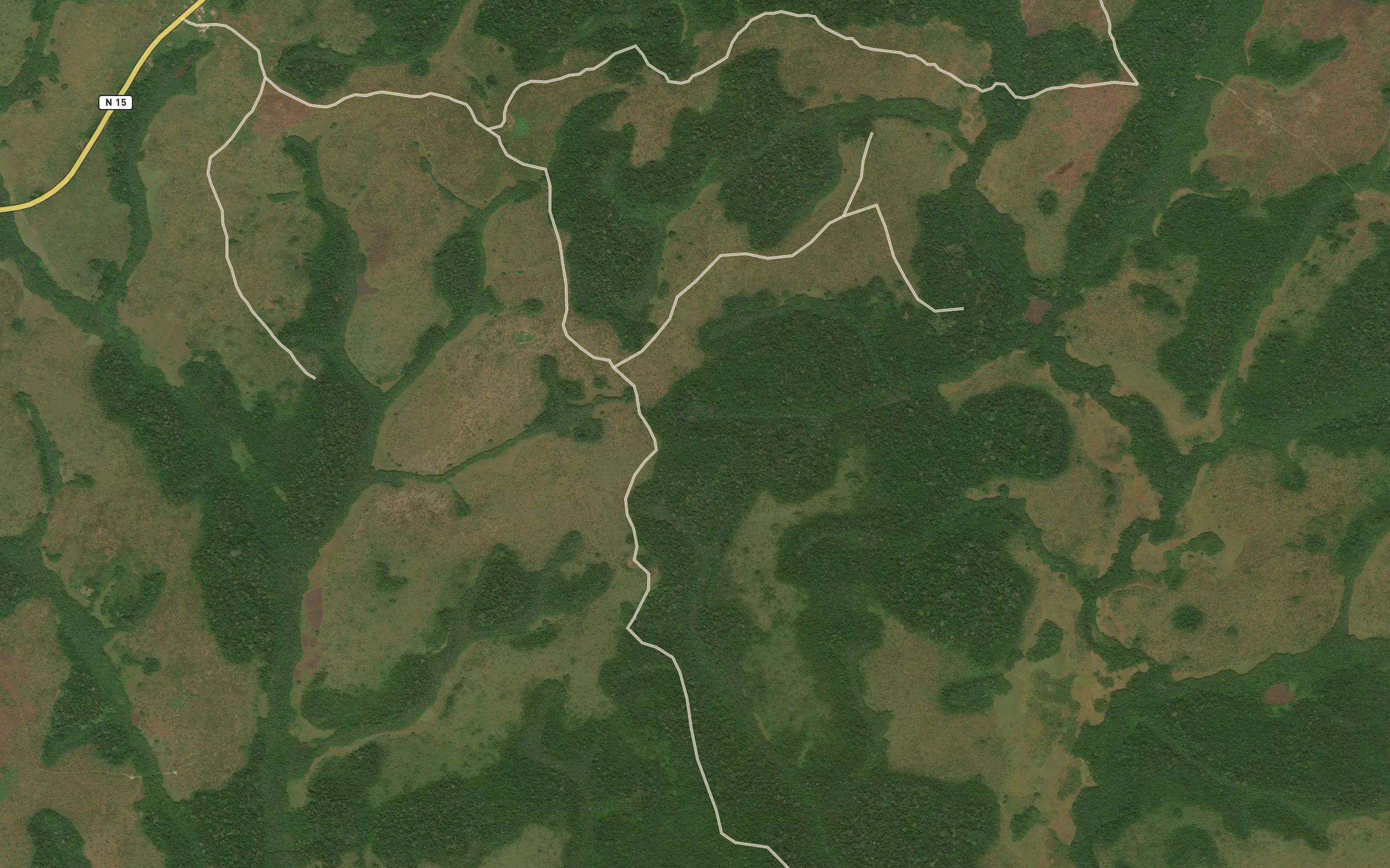 Mokote