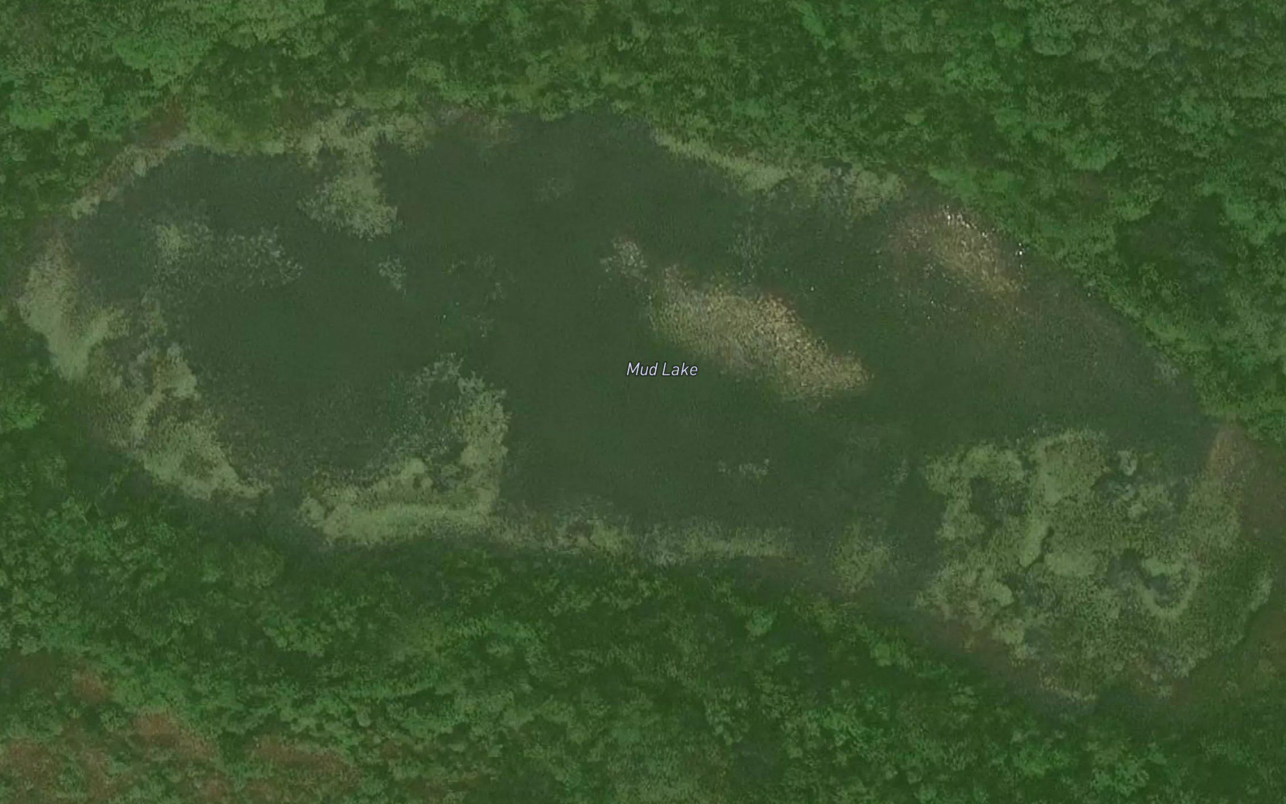 Mud Lake