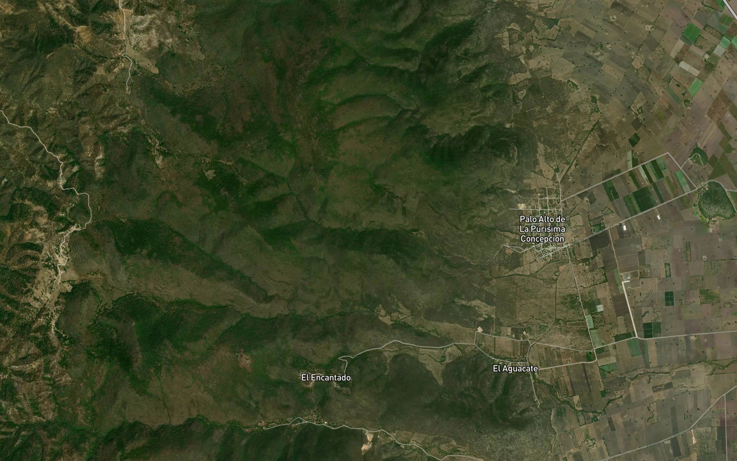 Barranca Rincon El Muerto