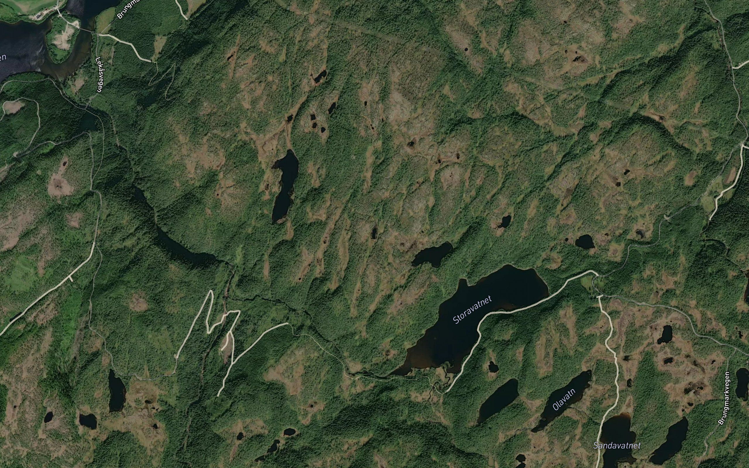 Turtjorna