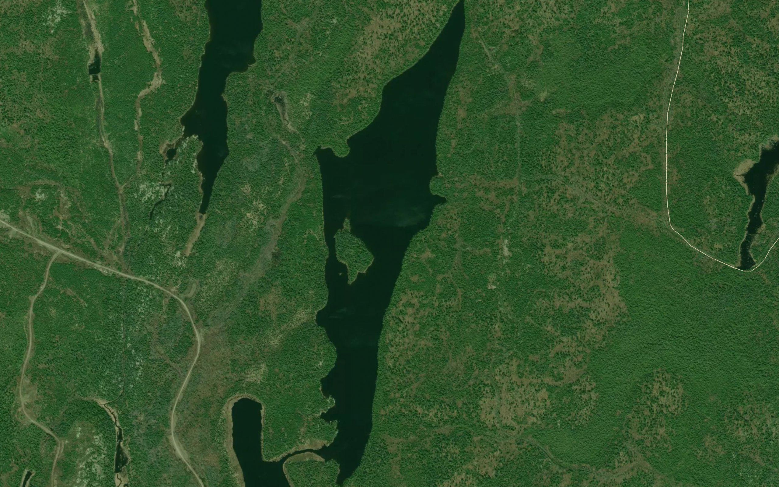 Pachysandra Lake