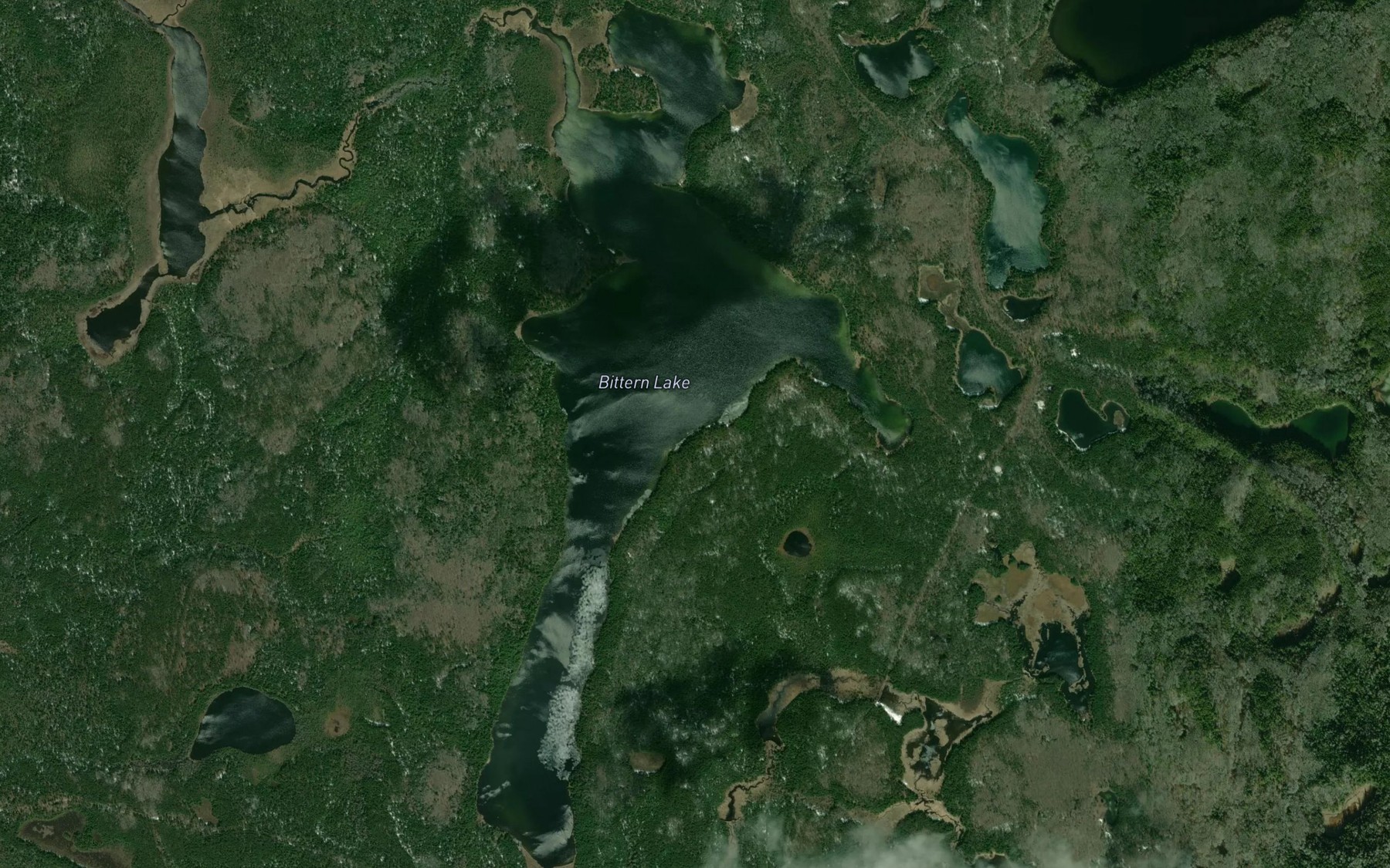 Satellite map of the Bittern Lake