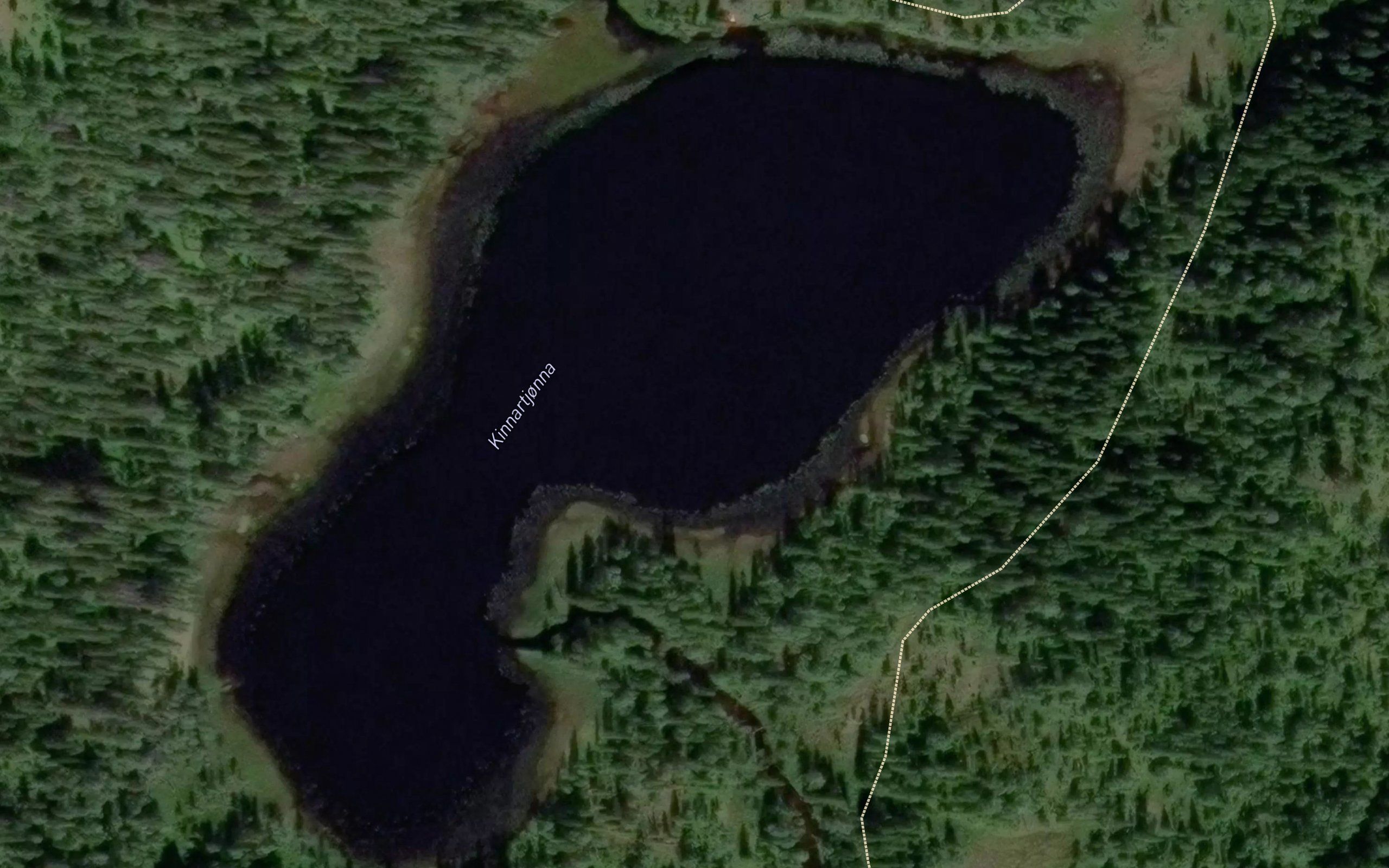 Kinnartjorna