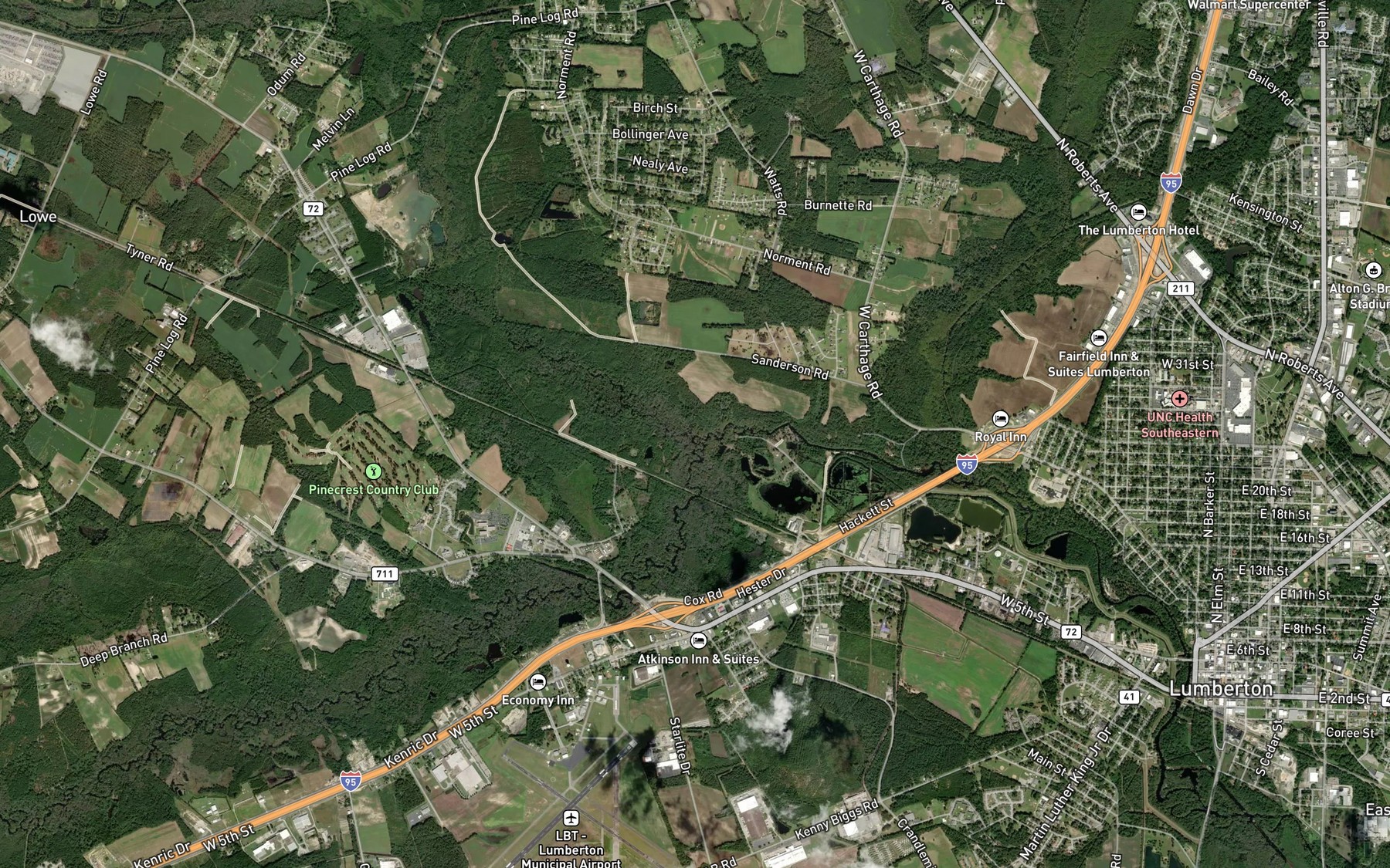Satellite map of the Raft Swamp