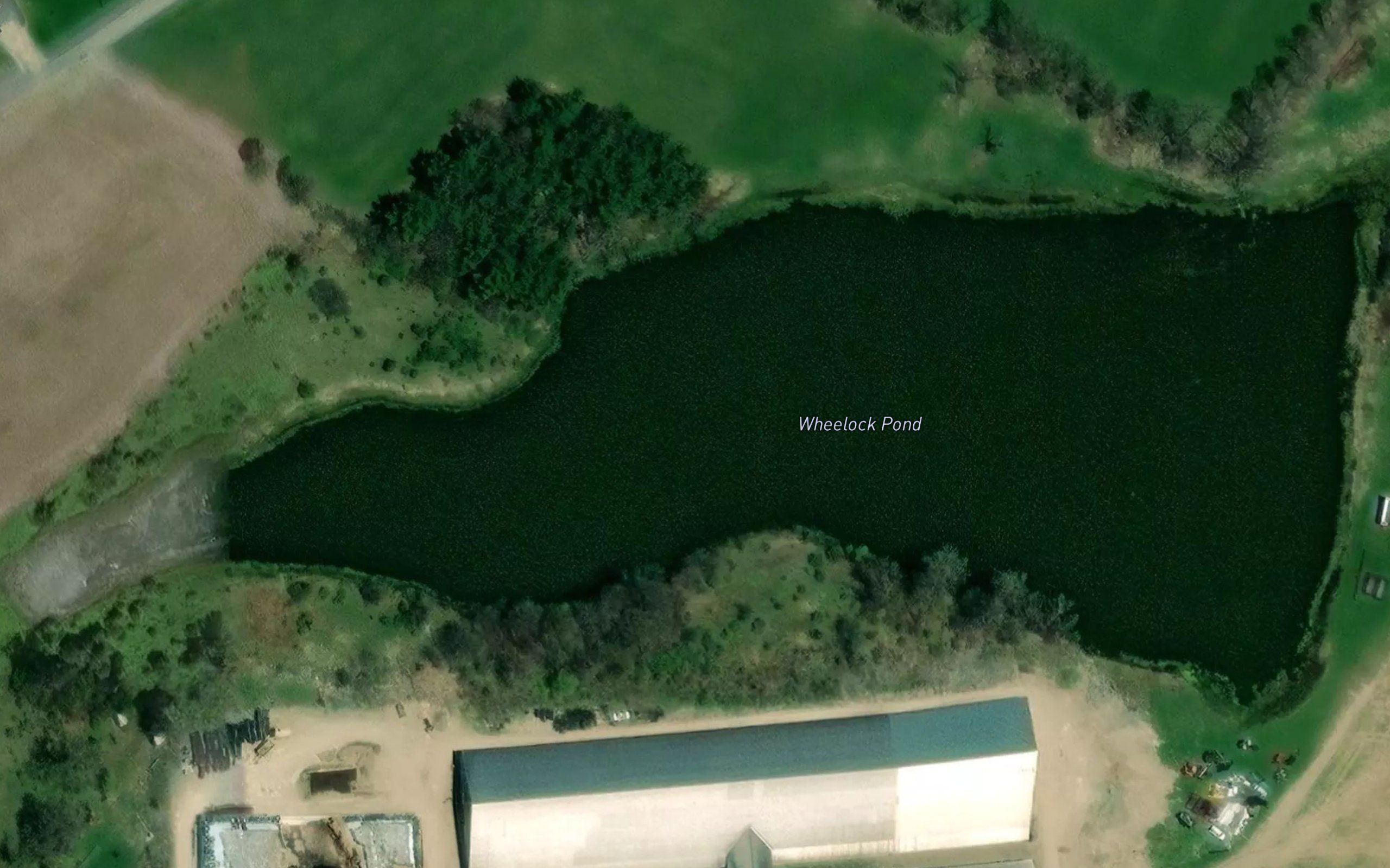 Wheelock Pond