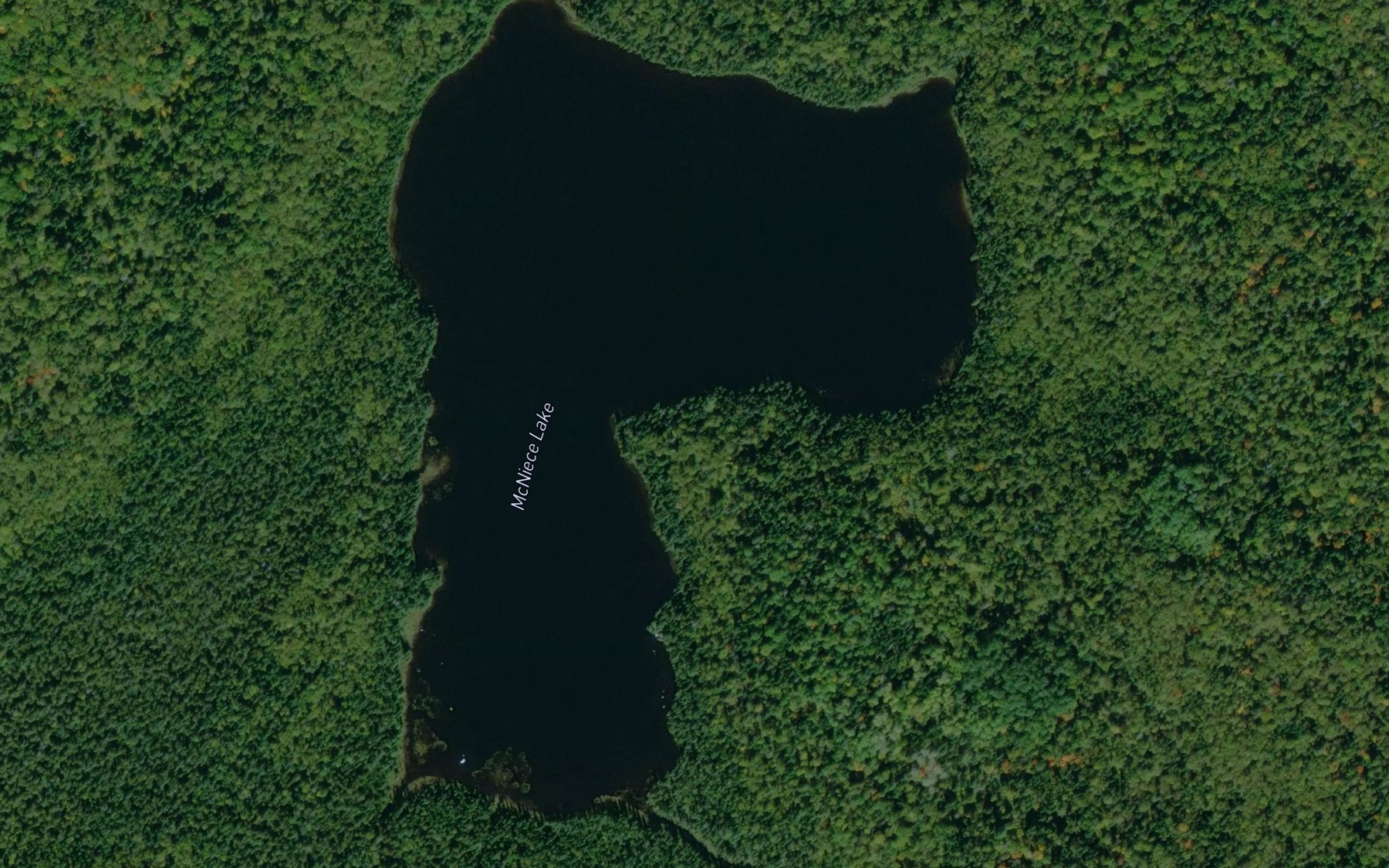 Satellite map of the McNiece Lake
