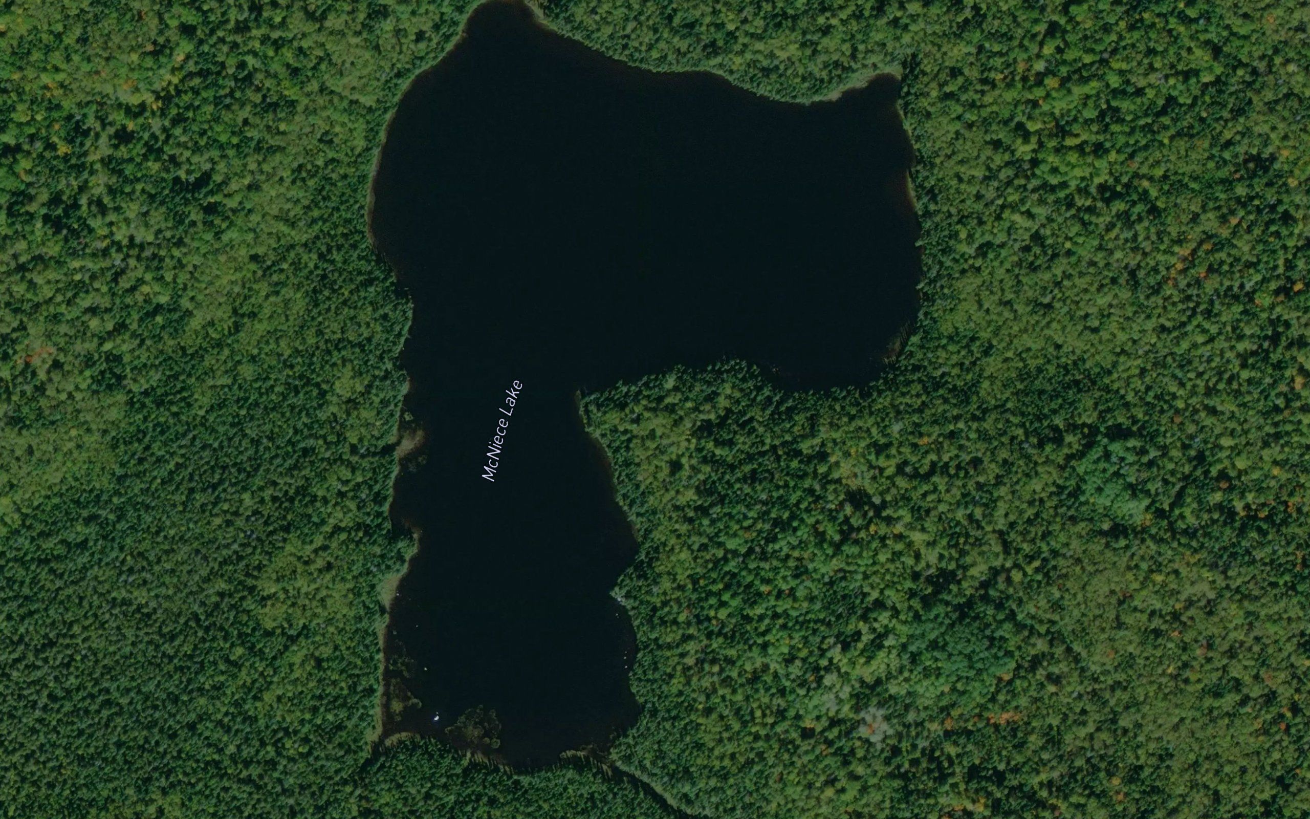 McNiece Lake
