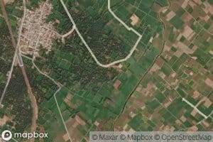 Machkauli Minor