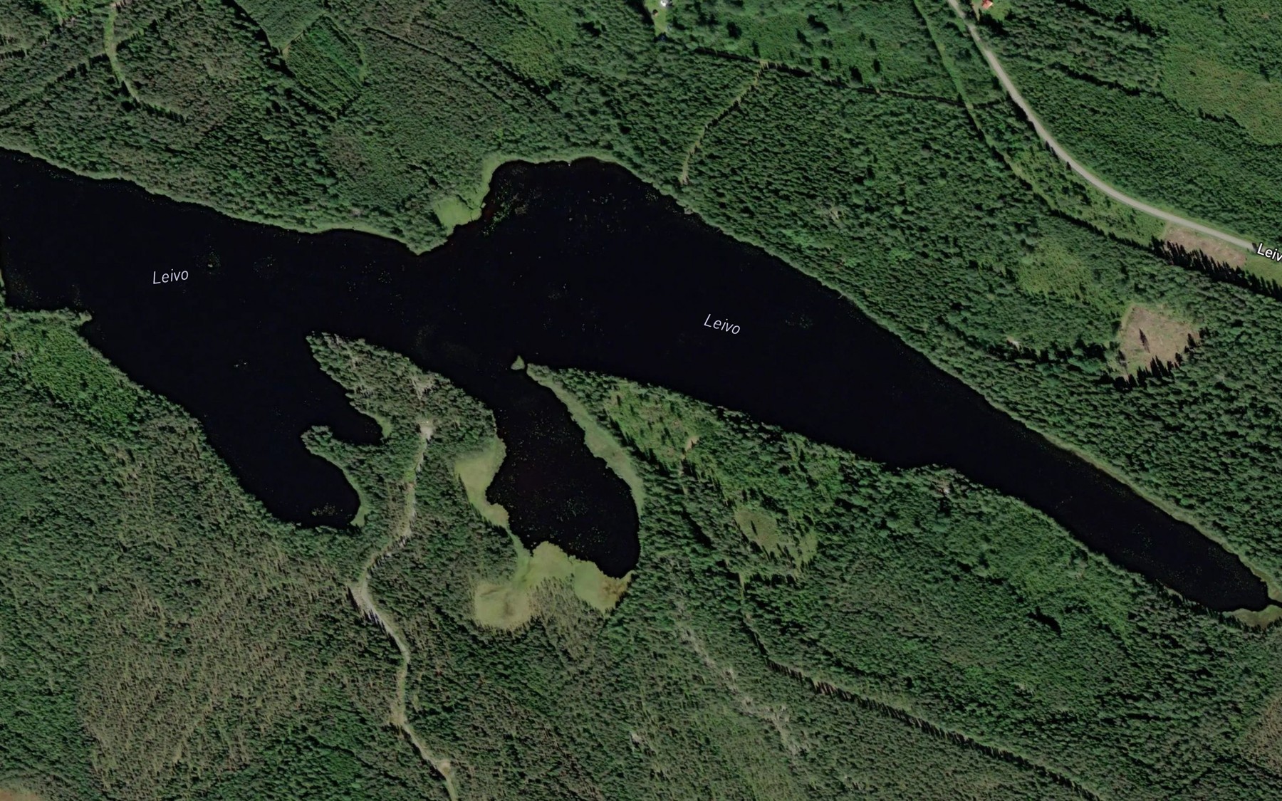 Satellite map of the Leivo