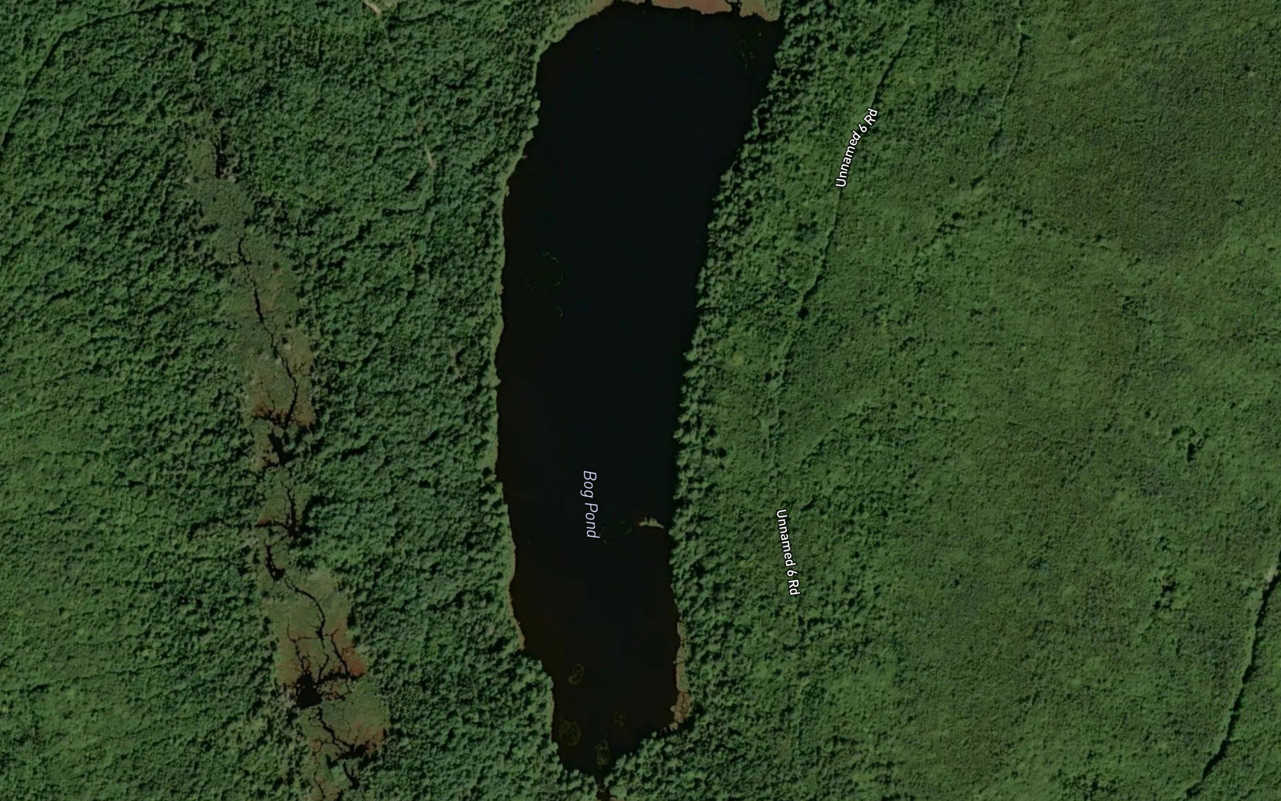 Bog Pond