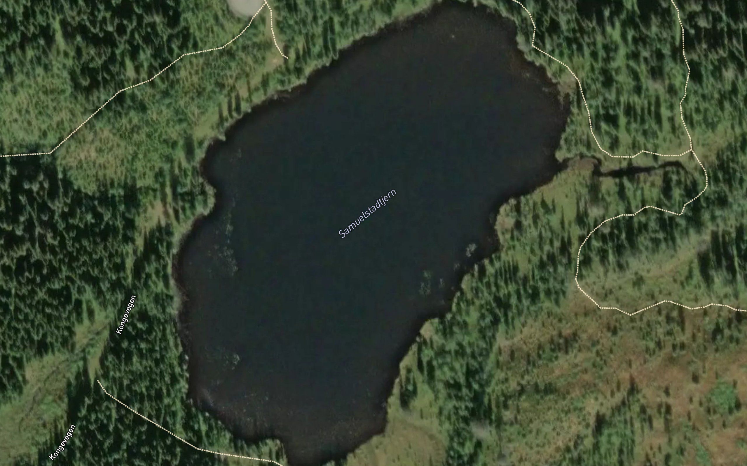 Samelstadtjednet