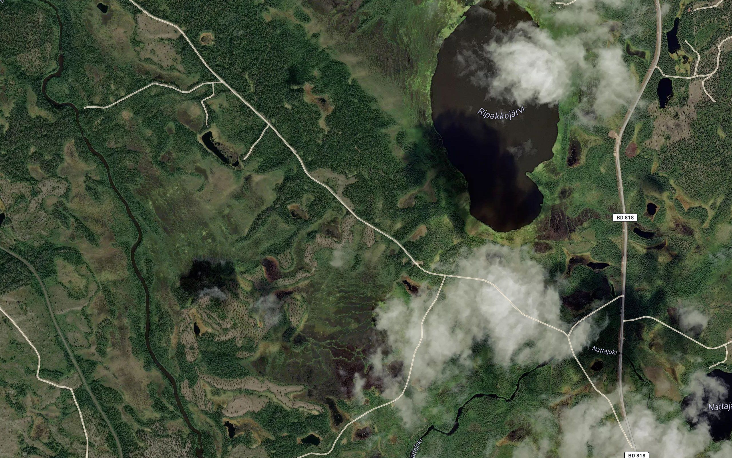 Ripakkojarvi
