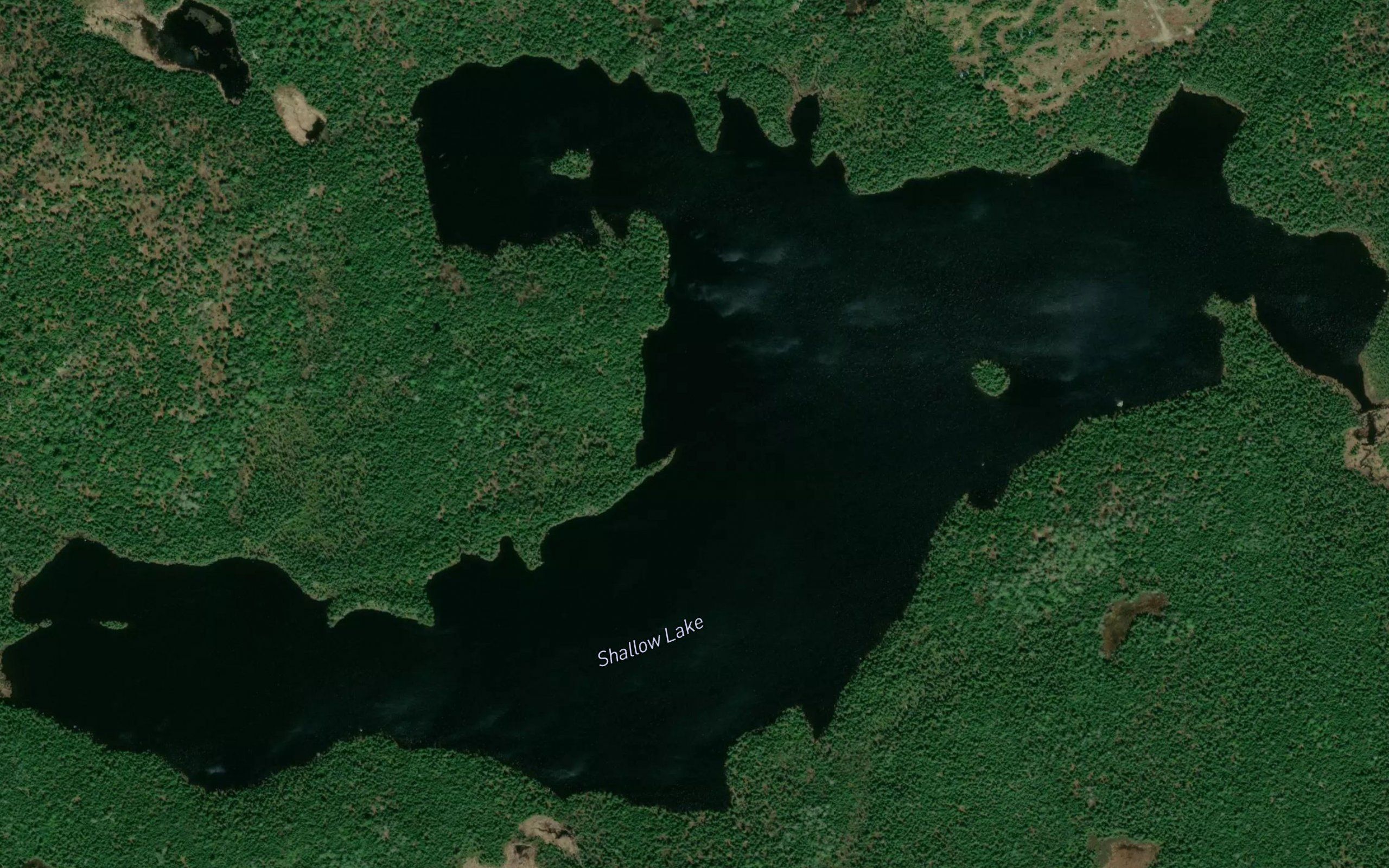 Shallow Lake