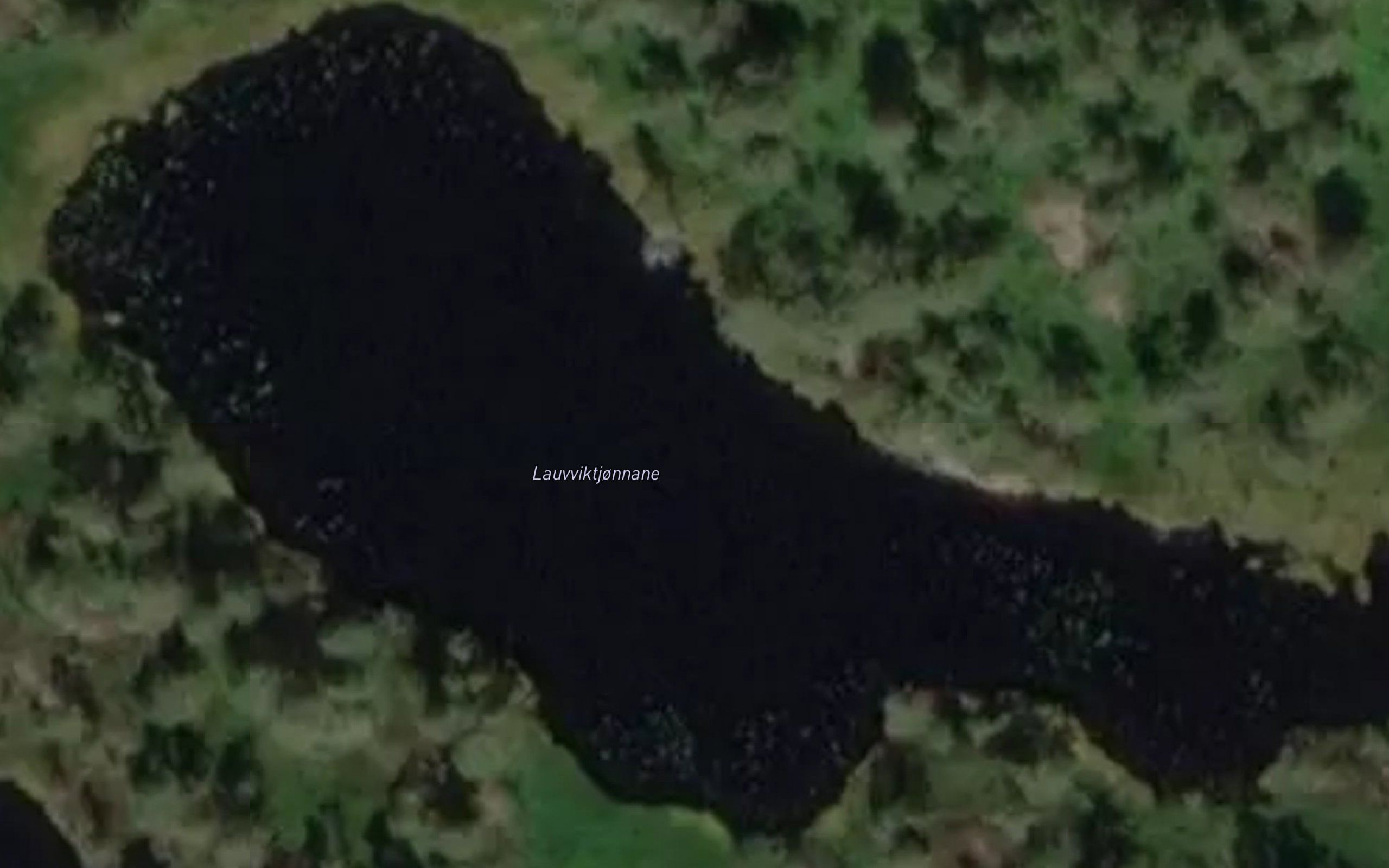 Lauvviktjonnane