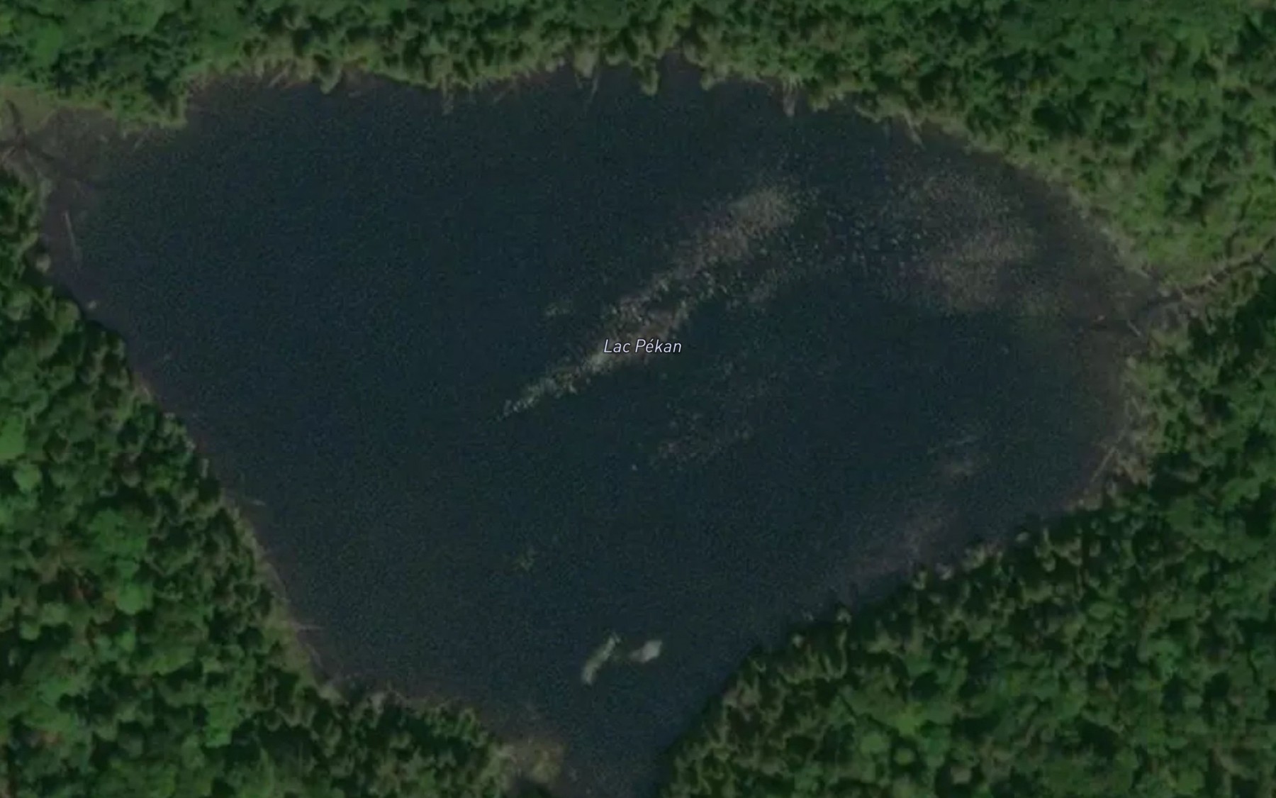 Satellite map of the Lac Pekan