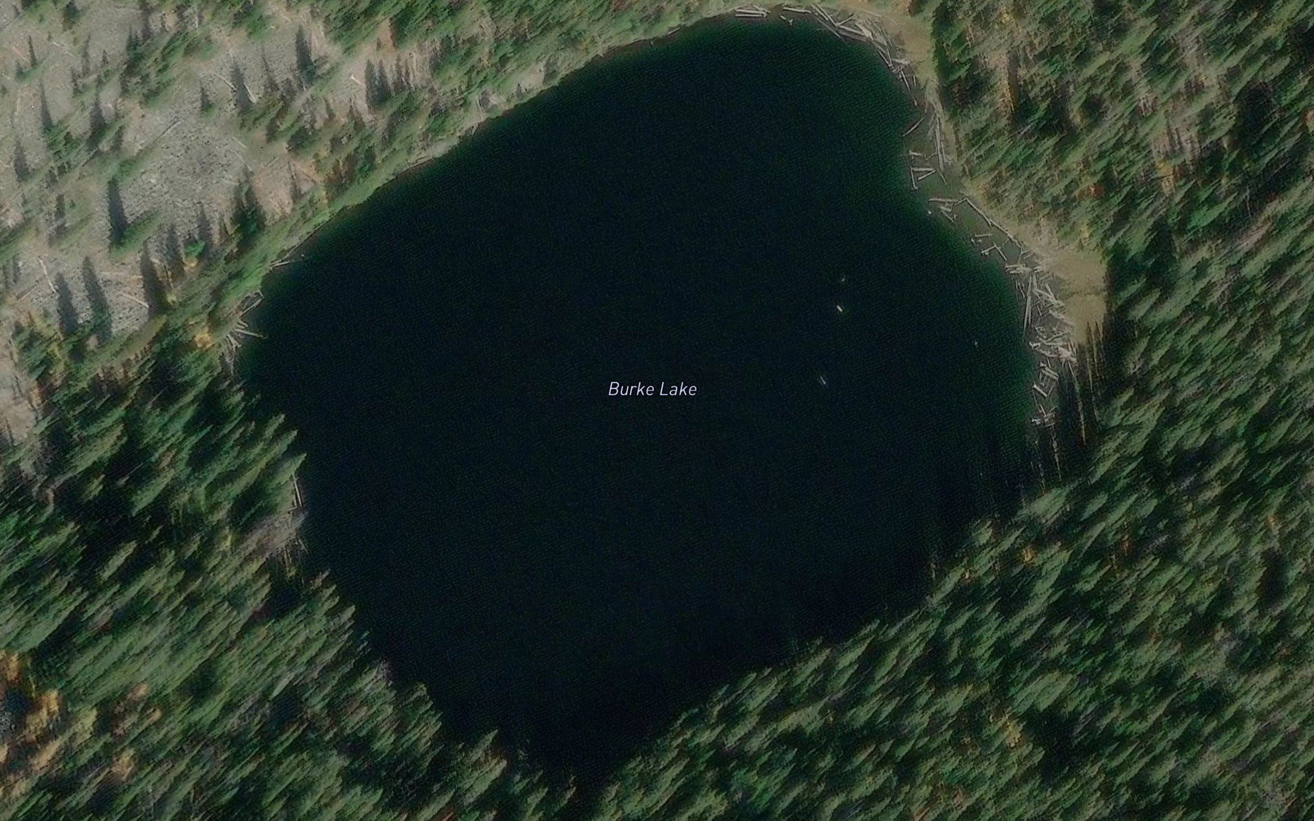 Burke Lake