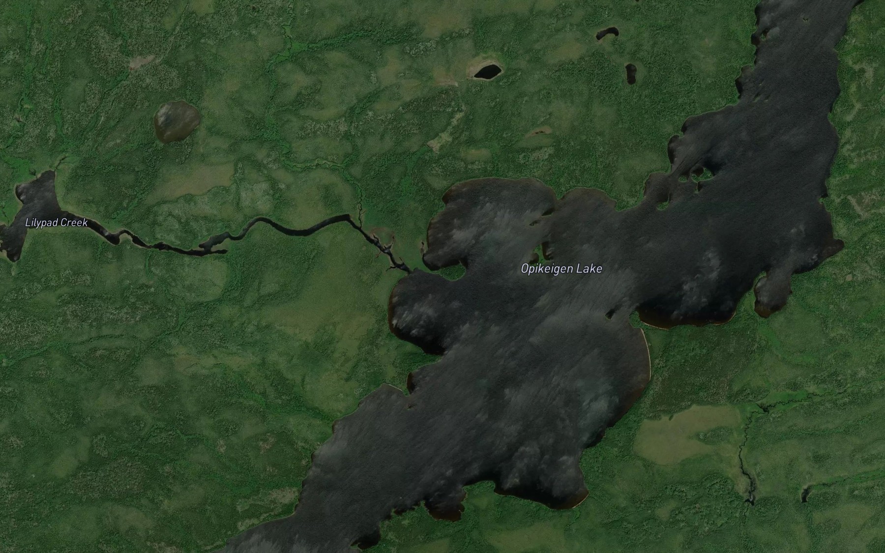 Satellite map of the Lilypad Creek