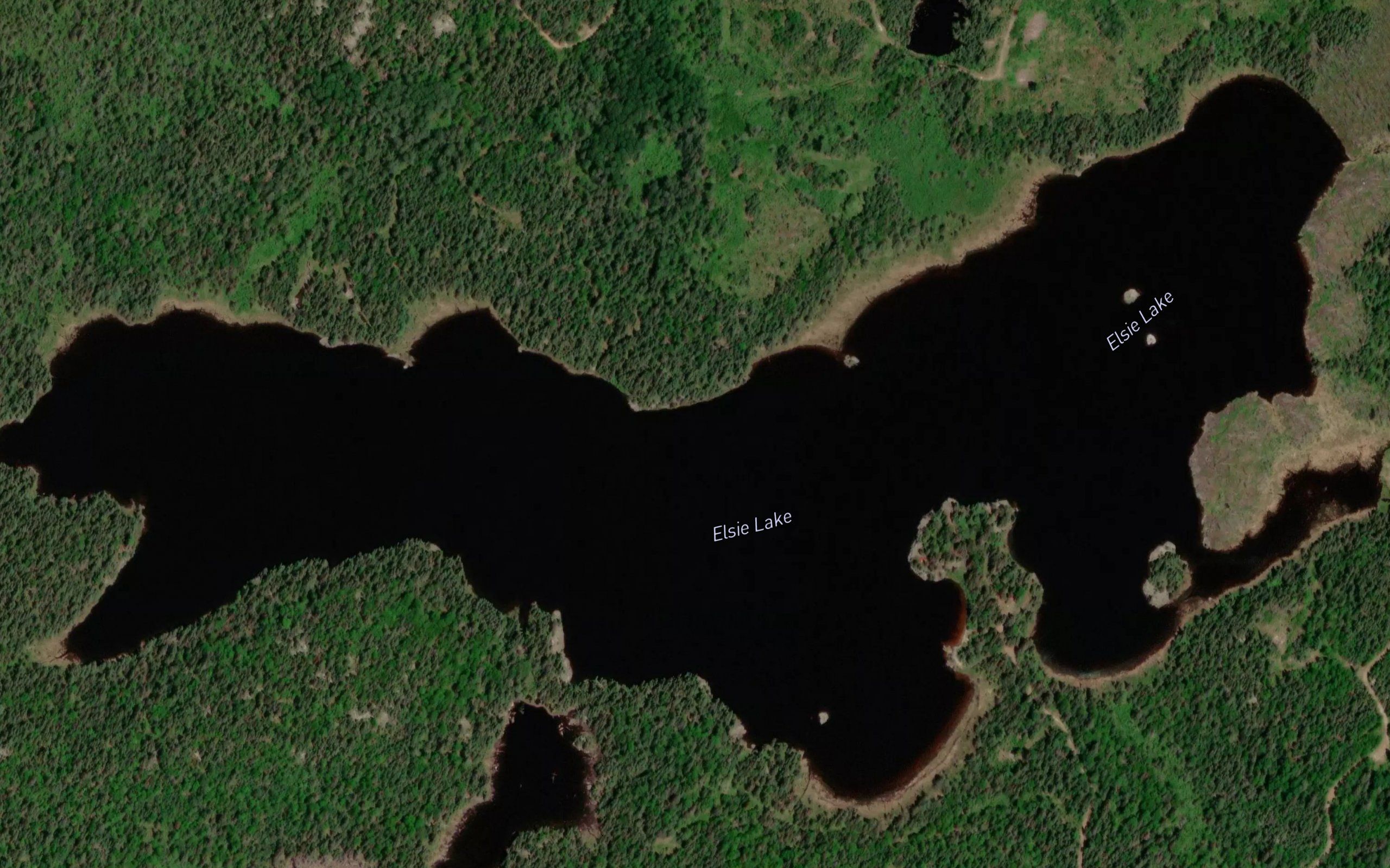 Elsie Lake