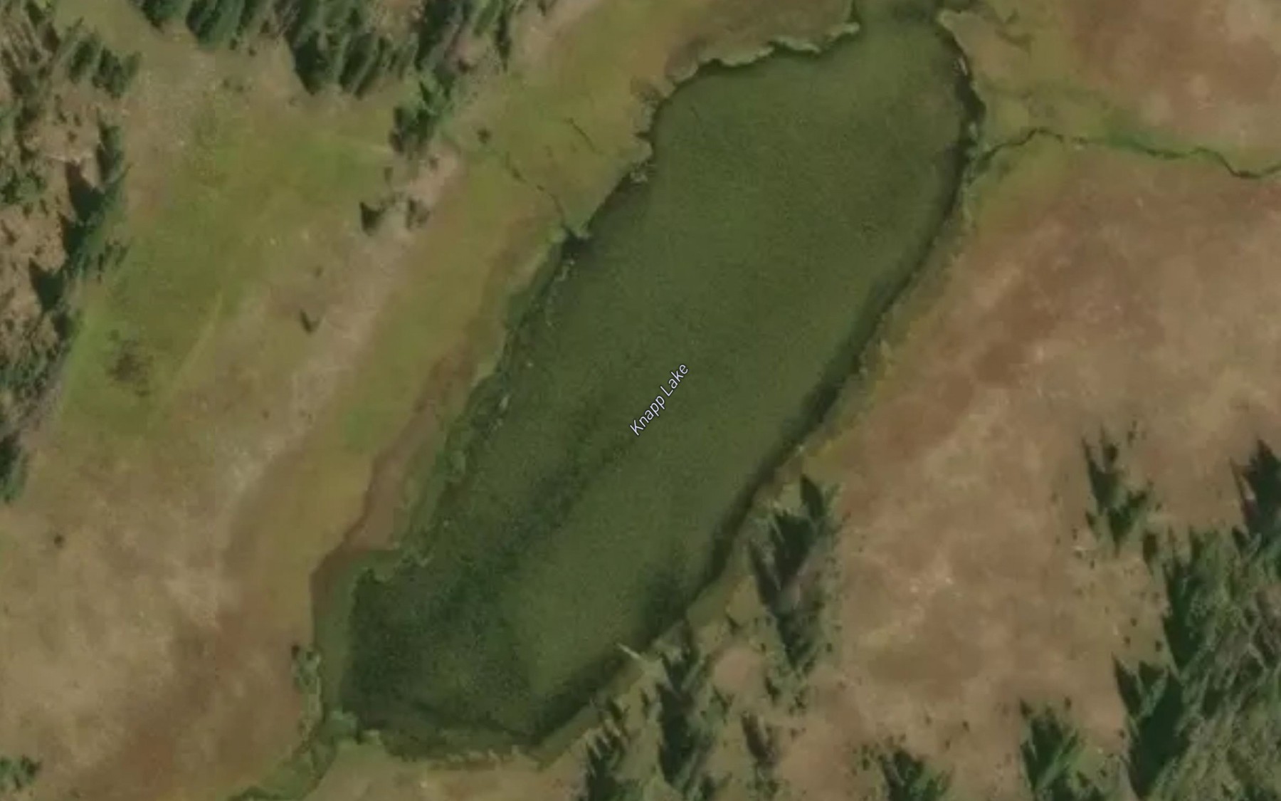 Satellite map of the Knapp Lake
