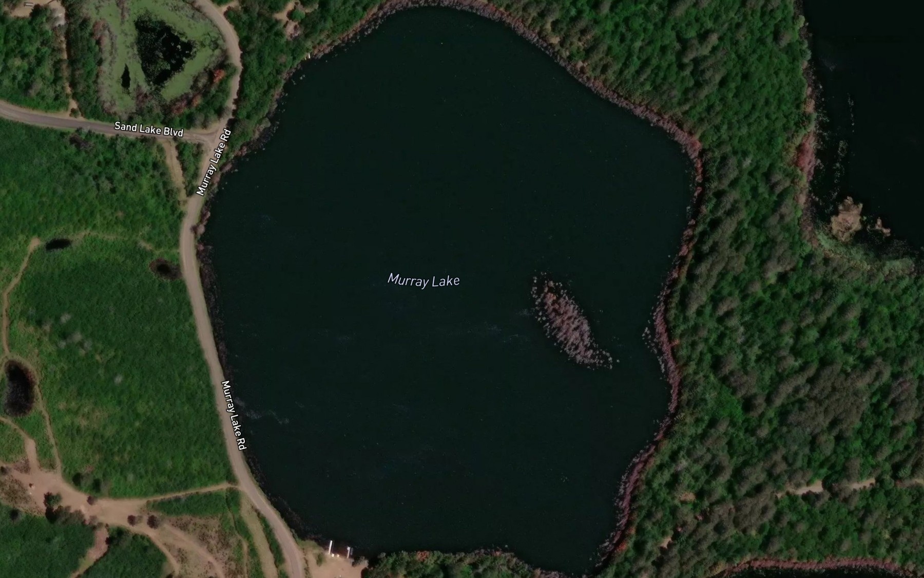 Satellite map of the Murray Lake