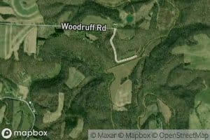 South Fork South Branch Wolf Creek