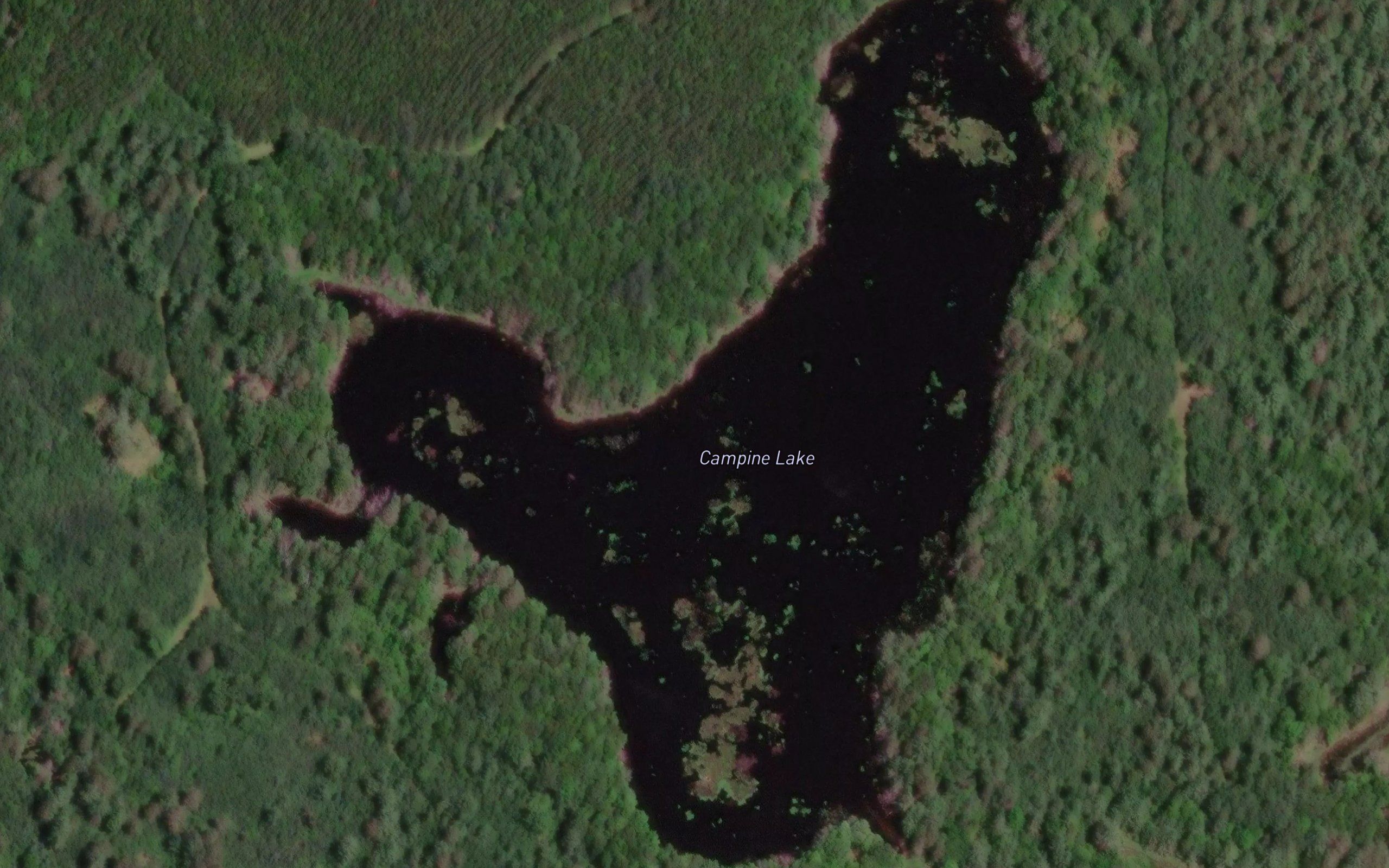 Campine Lake